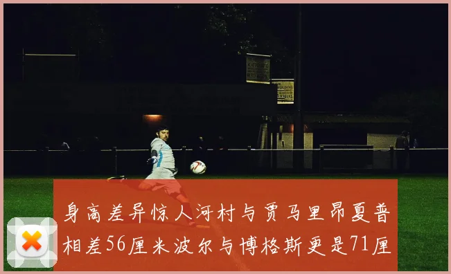 身高差异惊人河村与贾马里昂夏普相差56厘米波尔与博格斯更是71厘米